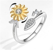 Anillo Giratorio