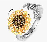 Anillo Giratorio