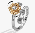 Anillo Giratorio
