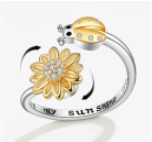 Anillo Giratorio