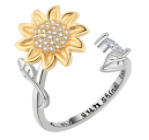Anillo Giratorio