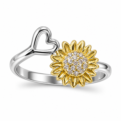 Anillo Giratorio
